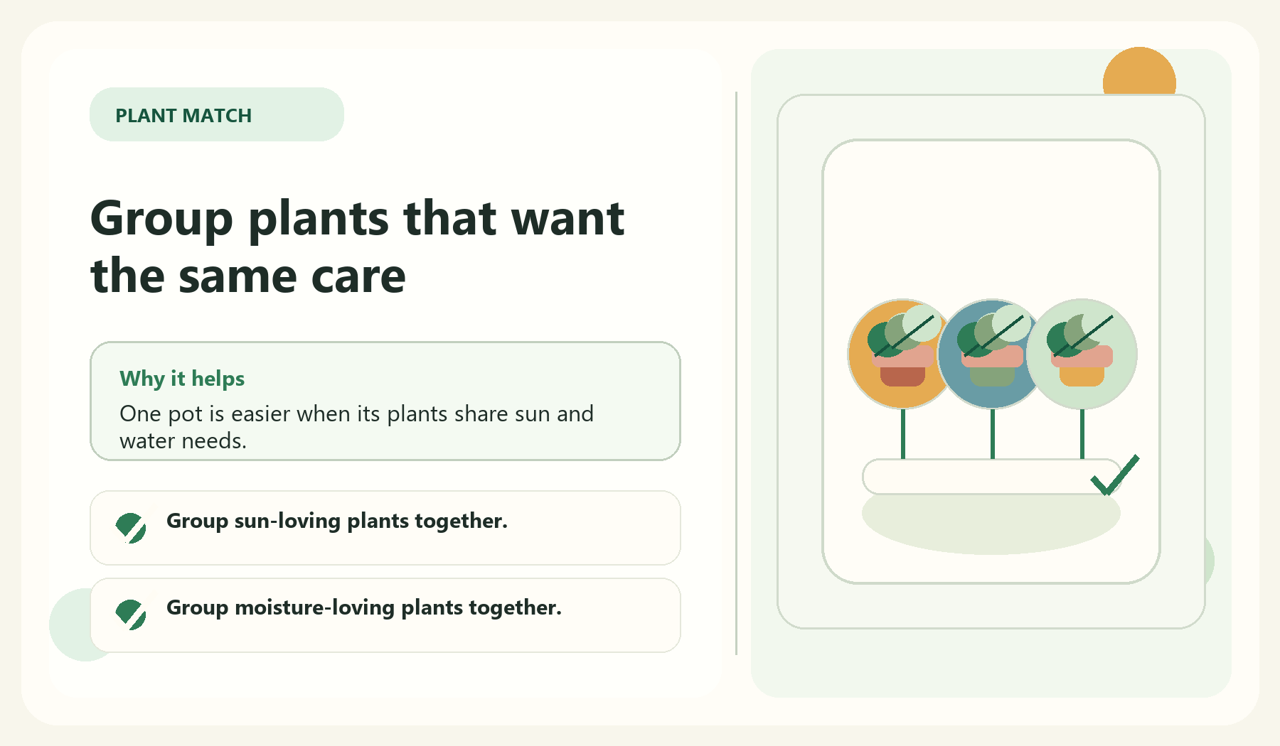 Group plants that want the same care visual guide for Mistake 4: Mixing Plants With Different Needs